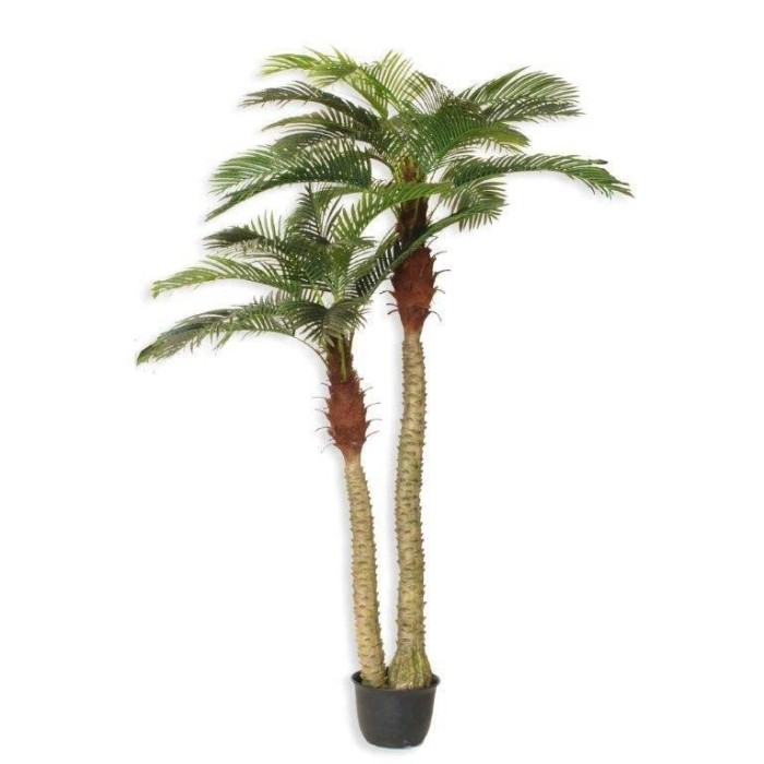 PHOENIX PALMA RT X2 30FG CVASO GREEN
